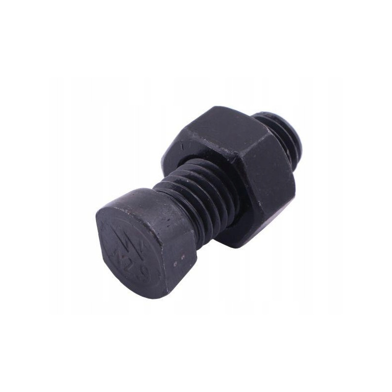 ŚRUBA    M 12/1,25x100  8/8